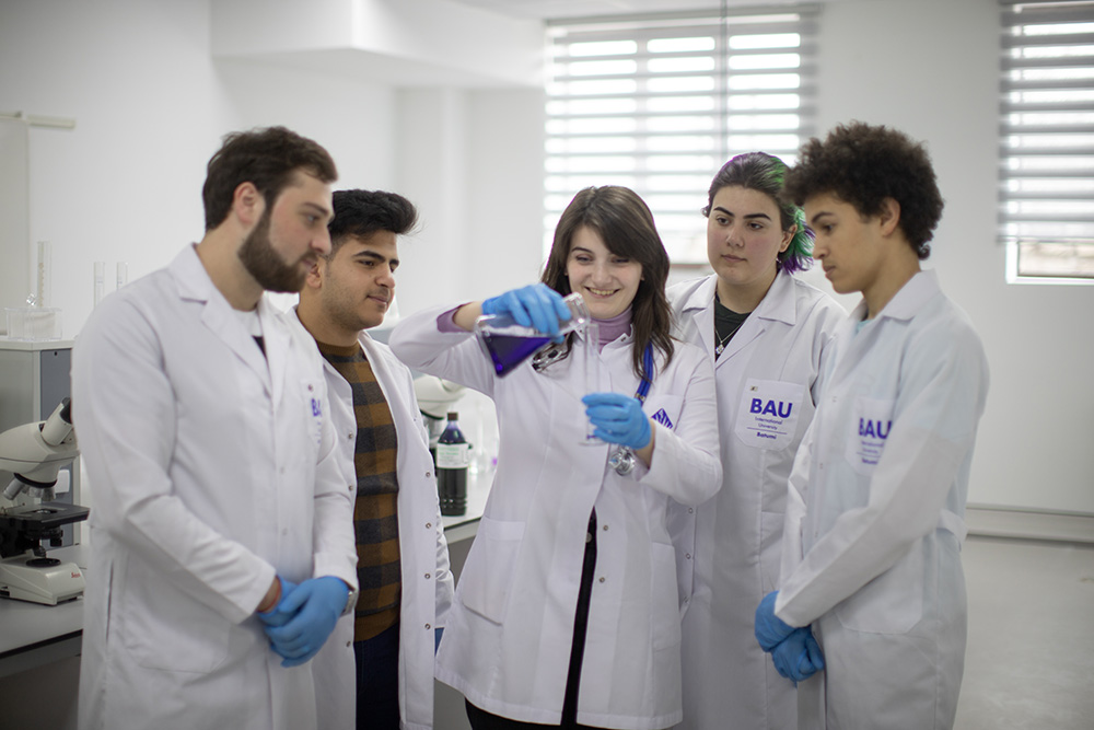 Bau International University