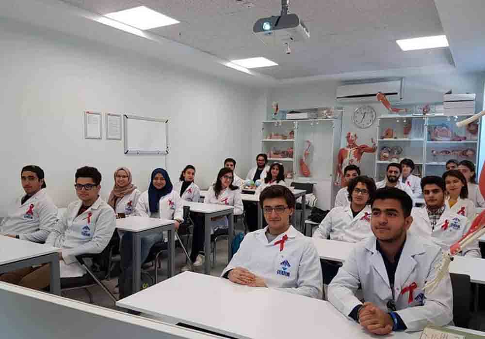 Bau International University