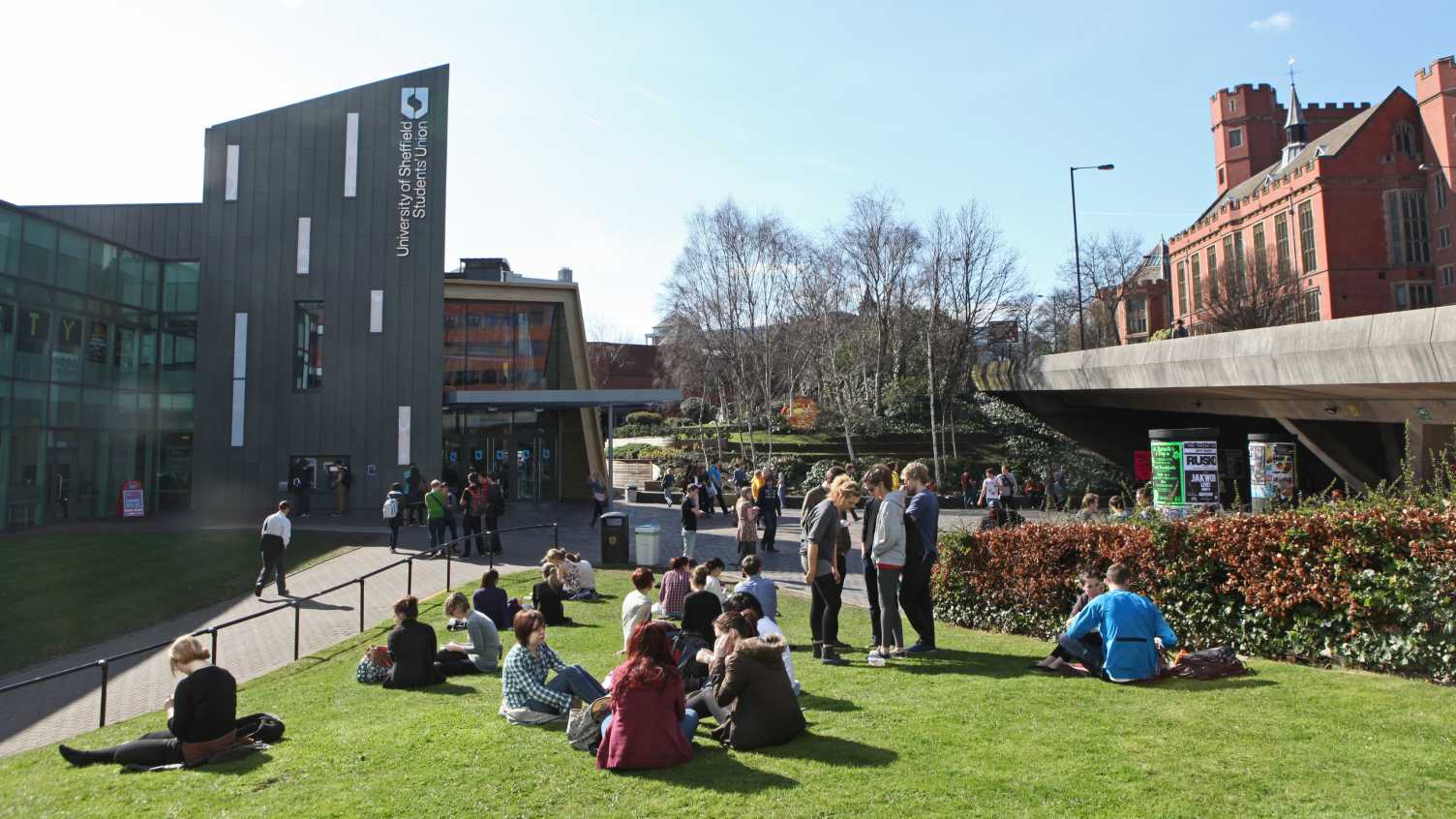 University of Sheffield
